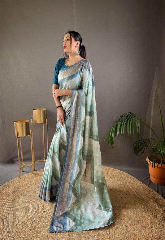 Organza diable saree with elegant border